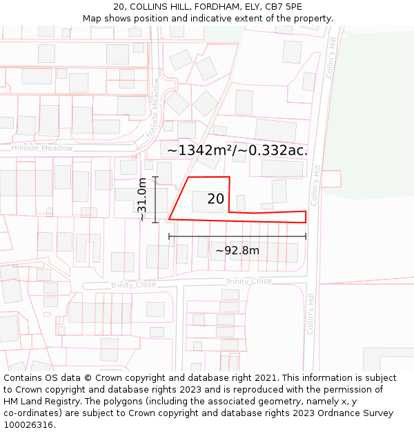 20, COLLINS HILL, FORDHAM, ELY, CB7 5PE: Plot and title map