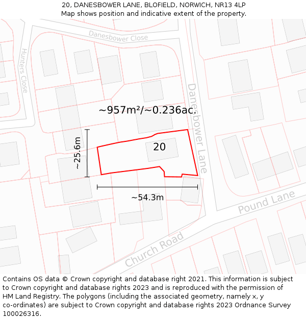 20, DANESBOWER LANE, BLOFIELD, NORWICH, NR13 4LP: Plot and title map