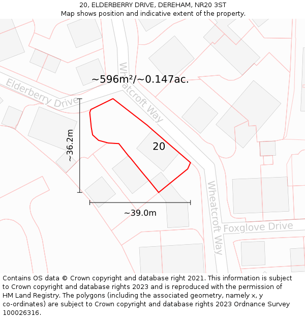20, ELDERBERRY DRIVE, DEREHAM, NR20 3ST: Plot and title map