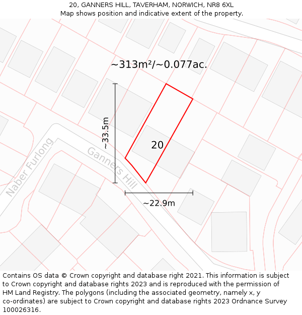 20, GANNERS HILL, TAVERHAM, NORWICH, NR8 6XL: Plot and title map