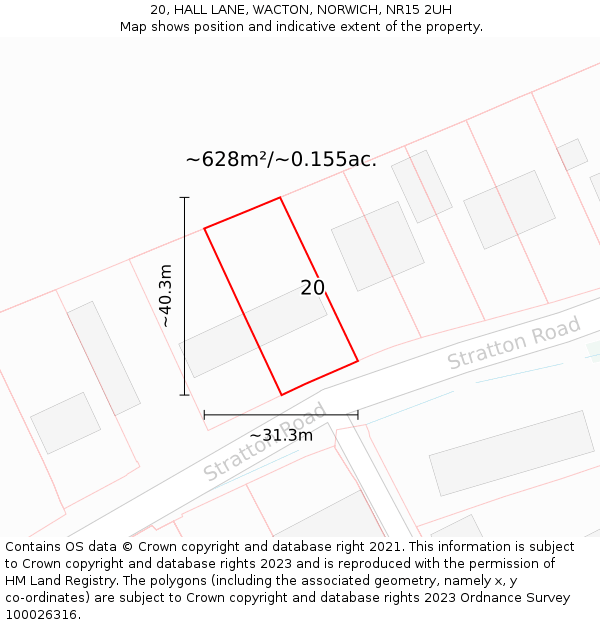 20, HALL LANE, WACTON, NORWICH, NR15 2UH: Plot and title map