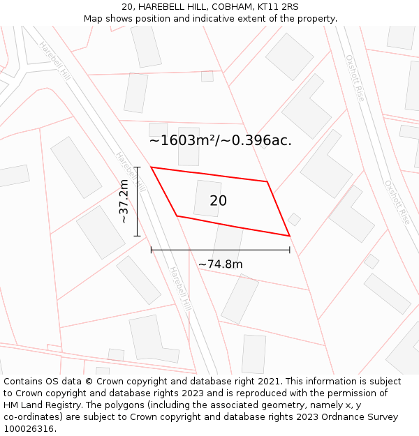 20, HAREBELL HILL, COBHAM, KT11 2RS: Plot and title map