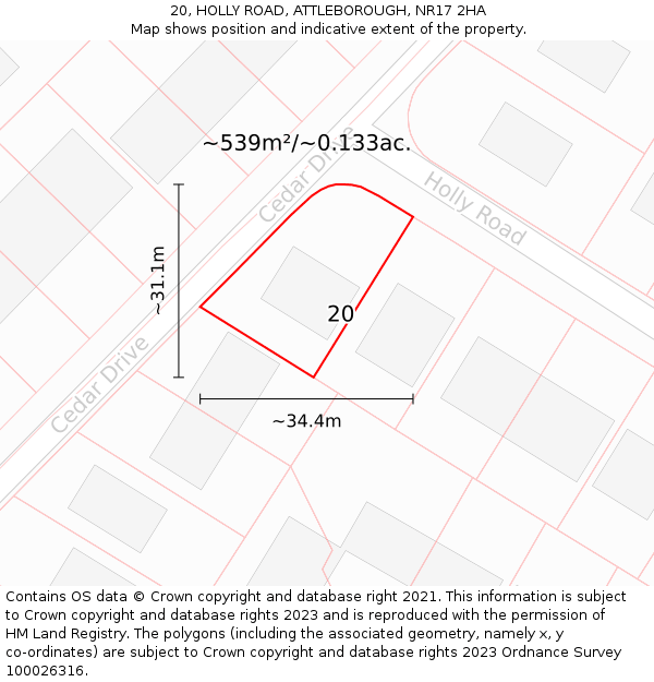 20, HOLLY ROAD, ATTLEBOROUGH, NR17 2HA: Plot and title map