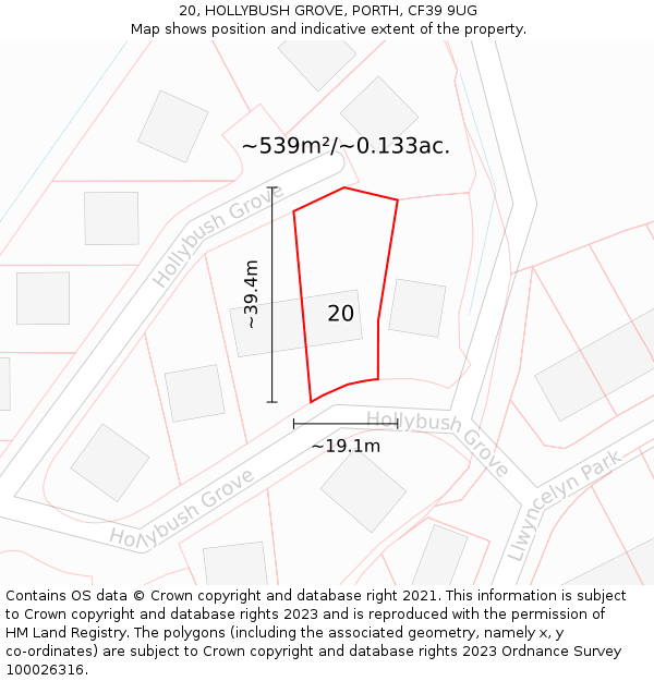 20, HOLLYBUSH GROVE, PORTH, CF39 9UG: Plot and title map