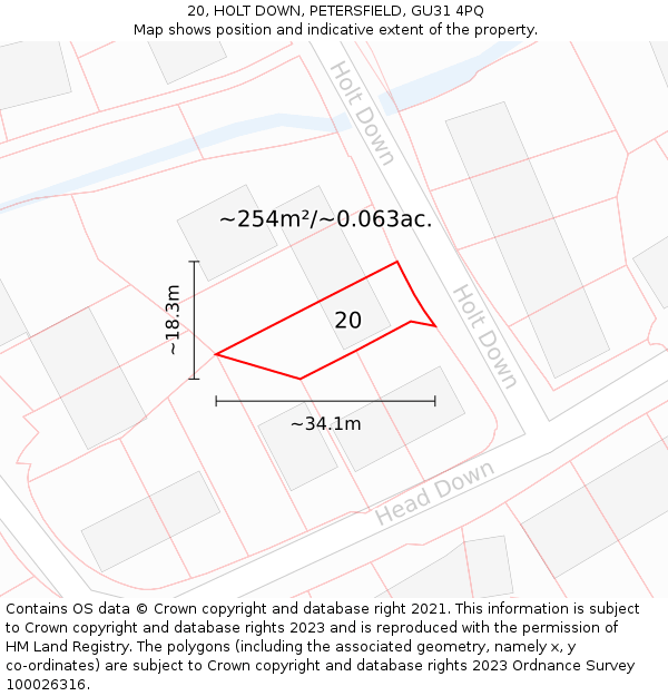 20, HOLT DOWN, PETERSFIELD, GU31 4PQ: Plot and title map