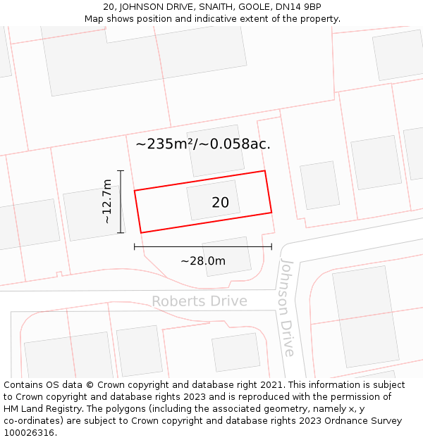 20, JOHNSON DRIVE, SNAITH, GOOLE, DN14 9BP: Plot and title map