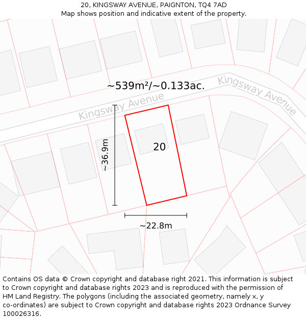 20, KINGSWAY AVENUE, PAIGNTON, TQ4 7AD: Plot and title map