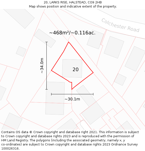 20, LARKS RISE, HALSTEAD, CO9 2HB: Plot and title map