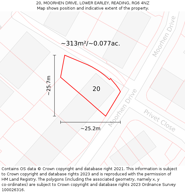 20, MOORHEN DRIVE, LOWER EARLEY, READING, RG6 4NZ: Plot and title map