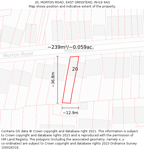 20, MORTON ROAD, EAST GRINSTEAD, RH19 4AG: Plot and title map