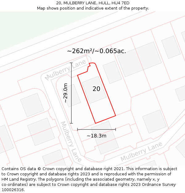 20, MULBERRY LANE, HULL, HU4 7ED: Plot and title map