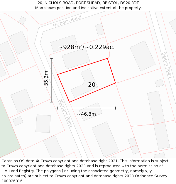 20, NICHOLS ROAD, PORTISHEAD, BRISTOL, BS20 8DT: Plot and title map