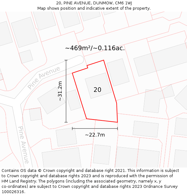 20, PINE AVENUE, DUNMOW, CM6 1WJ: Plot and title map