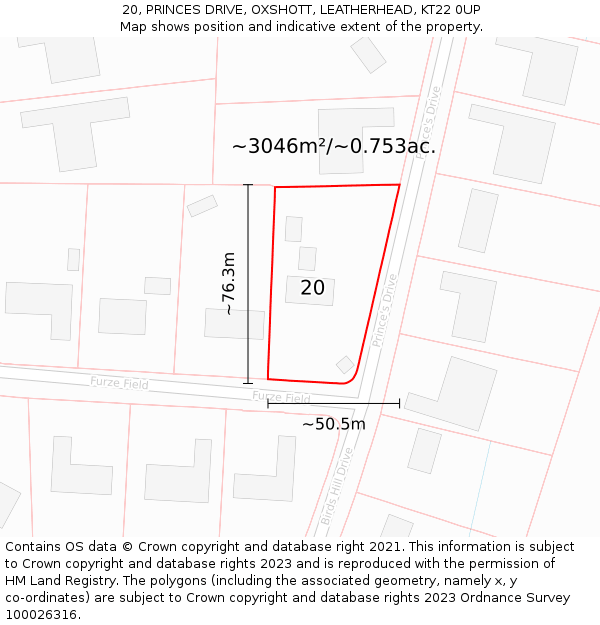 20, PRINCES DRIVE, OXSHOTT, LEATHERHEAD, KT22 0UP: Plot and title map