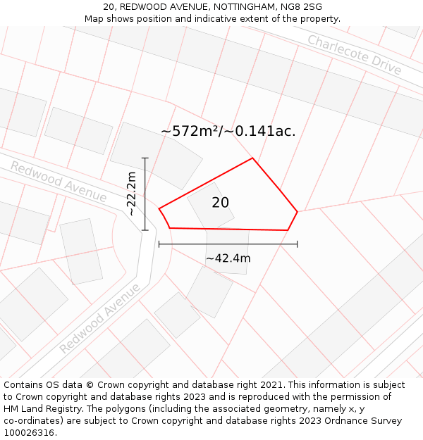 20, REDWOOD AVENUE, NOTTINGHAM, NG8 2SG: Plot and title map