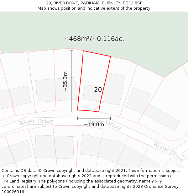 20, RIVER DRIVE, PADIHAM, BURNLEY, BB12 8SE: Plot and title map