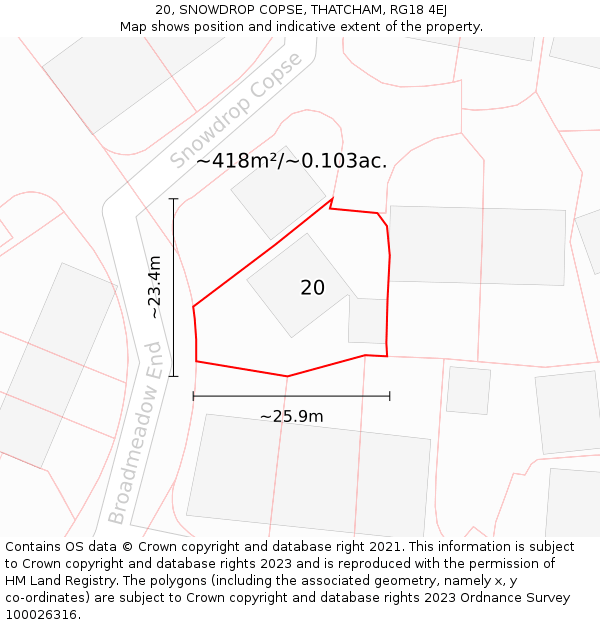 20, SNOWDROP COPSE, THATCHAM, RG18 4EJ: Plot and title map