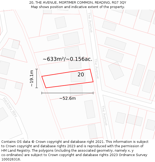 20, THE AVENUE, MORTIMER COMMON, READING, RG7 3QY: Plot and title map