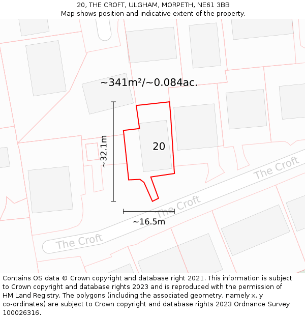 20, THE CROFT, ULGHAM, MORPETH, NE61 3BB: Plot and title map