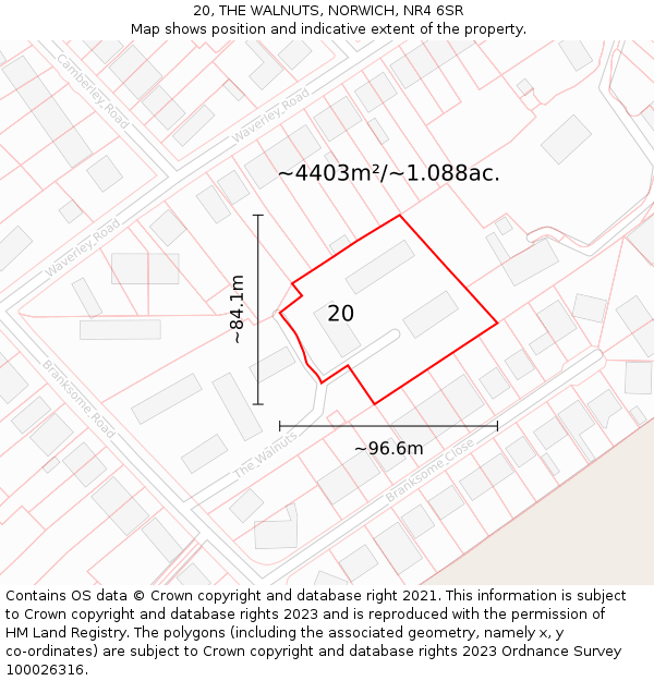 20, THE WALNUTS, NORWICH, NR4 6SR: Plot and title map