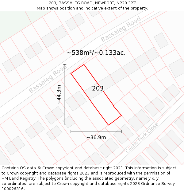 203, BASSALEG ROAD, NEWPORT, NP20 3PZ: Plot and title map
