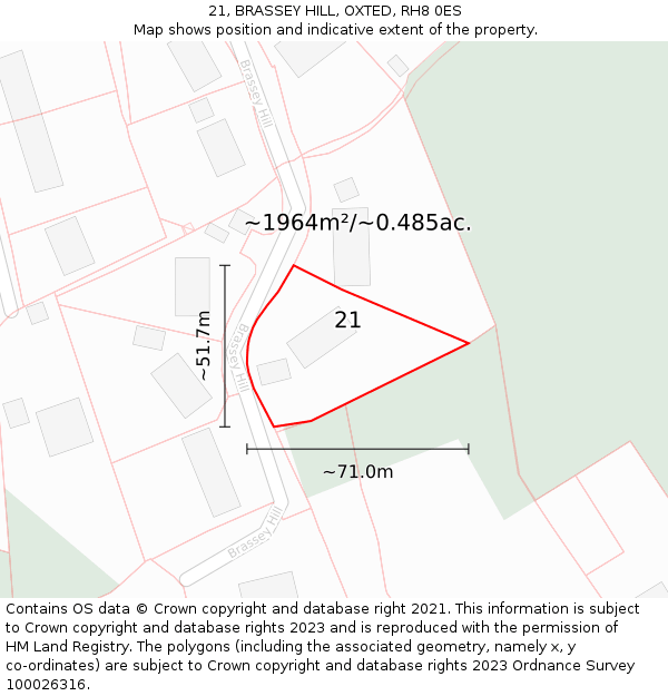 21, BRASSEY HILL, OXTED, RH8 0ES: Plot and title map