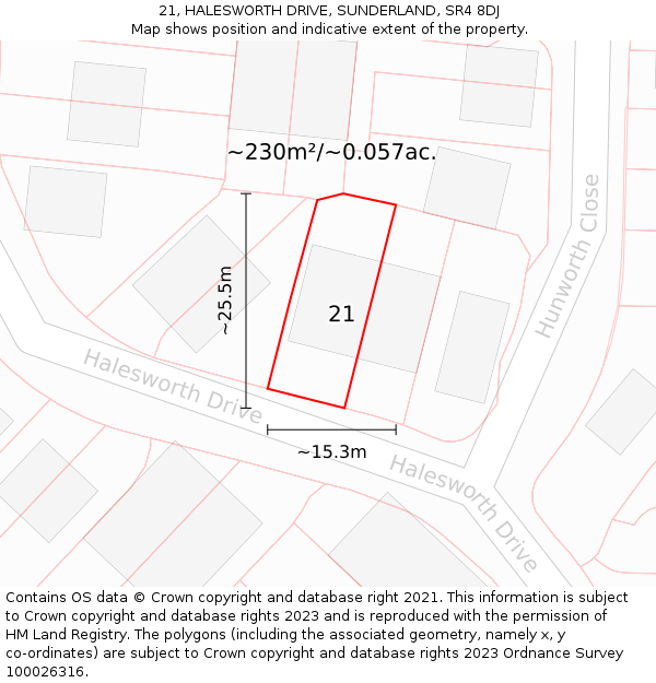 21, HALESWORTH DRIVE, SUNDERLAND, SR4 8DJ: Plot and title map