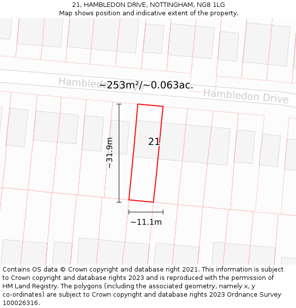 21, HAMBLEDON DRIVE, NOTTINGHAM, NG8 1LG: Plot and title map