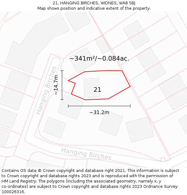 21, HANGING BIRCHES, WIDNES, WA8 5BJ: Plot and title map