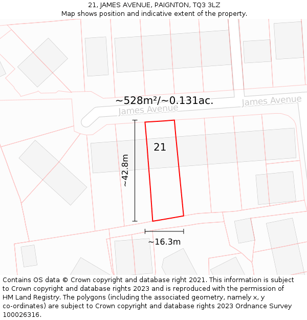21, JAMES AVENUE, PAIGNTON, TQ3 3LZ: Plot and title map
