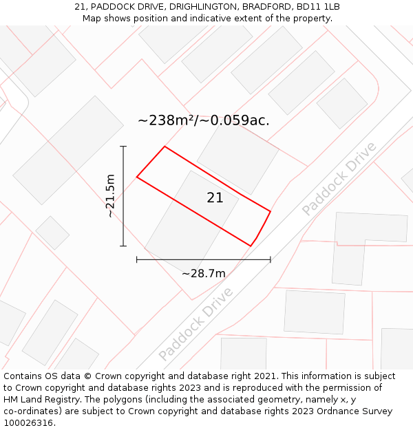 21, PADDOCK DRIVE, DRIGHLINGTON, BRADFORD, BD11 1LB: Plot and title map