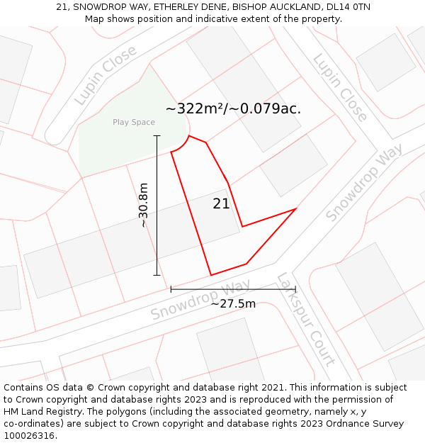 21, SNOWDROP WAY, ETHERLEY DENE, BISHOP AUCKLAND, DL14 0TN: Plot and title map