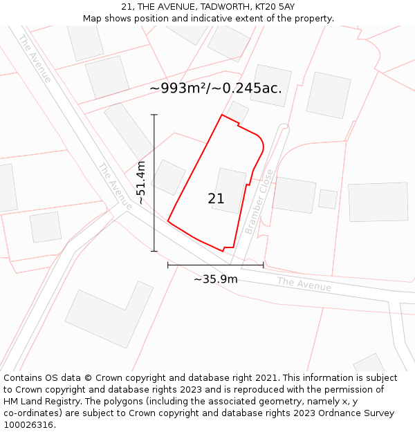 21, THE AVENUE, TADWORTH, KT20 5AY: Plot and title map