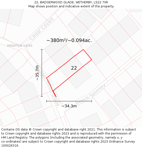 22, BADGERWOOD GLADE, WETHERBY, LS22 7XR: Plot and title map