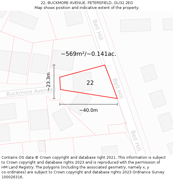 22, BUCKMORE AVENUE, PETERSFIELD, GU32 2EG: Plot and title map