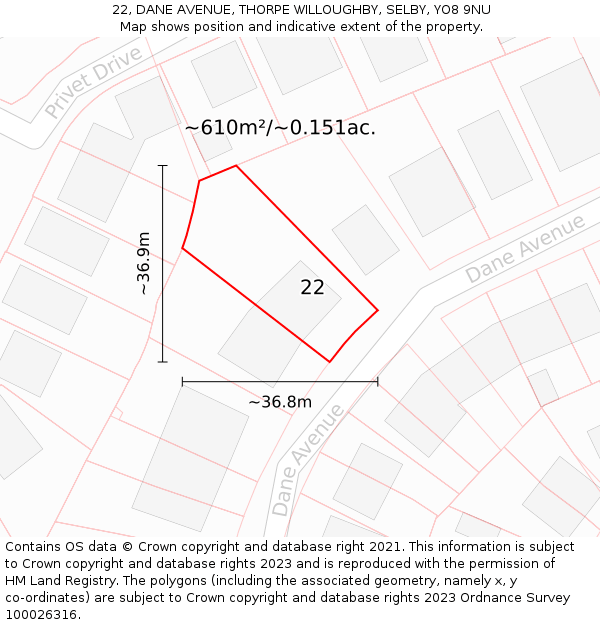 22, DANE AVENUE, THORPE WILLOUGHBY, SELBY, YO8 9NU: Plot and title map