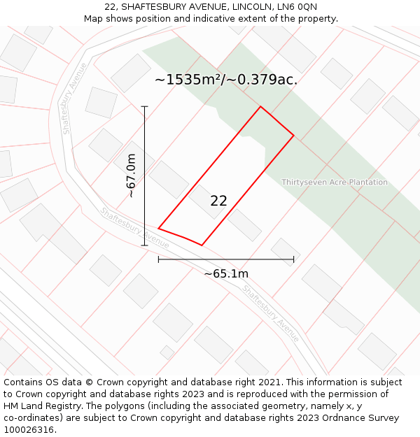 22, SHAFTESBURY AVENUE, LINCOLN, LN6 0QN: Plot and title map
