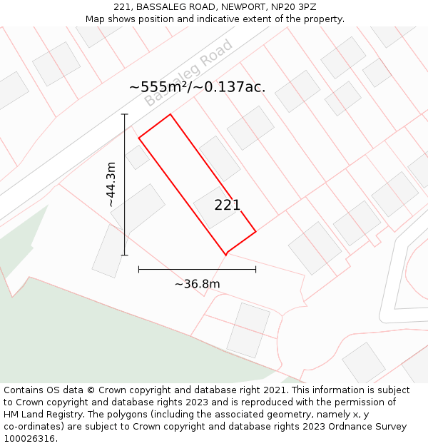 221, BASSALEG ROAD, NEWPORT, NP20 3PZ: Plot and title map