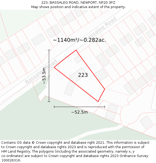 223, BASSALEG ROAD, NEWPORT, NP20 3PZ: Plot and title map