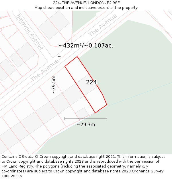 224, THE AVENUE, LONDON, E4 9SE: Plot and title map