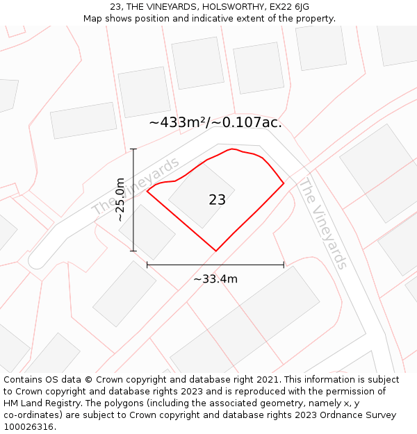 23, THE VINEYARDS, HOLSWORTHY, EX22 6JG: Plot and title map