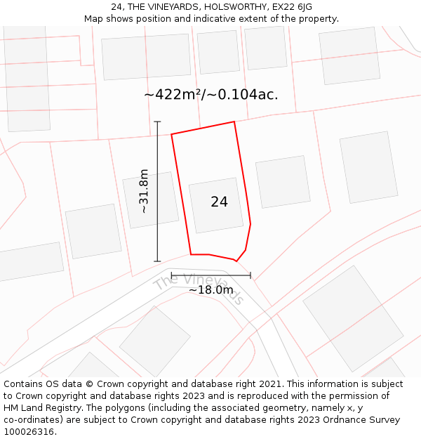 24, THE VINEYARDS, HOLSWORTHY, EX22 6JG: Plot and title map