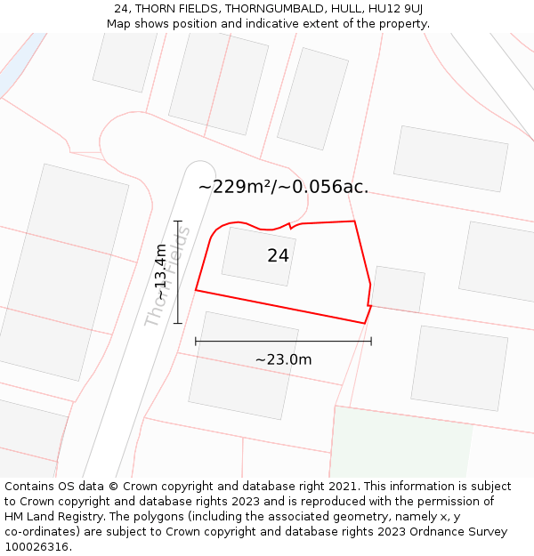 24, THORN FIELDS, THORNGUMBALD, HULL, HU12 9UJ: Plot and title map