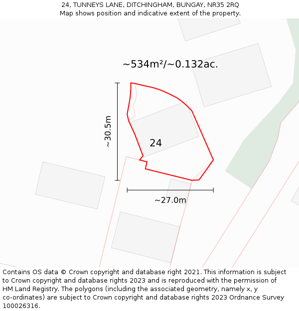 24, TUNNEYS LANE, DITCHINGHAM, BUNGAY, NR35 2RQ: Plot and title map