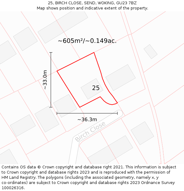 25, BIRCH CLOSE, SEND, WOKING, GU23 7BZ: Plot and title map