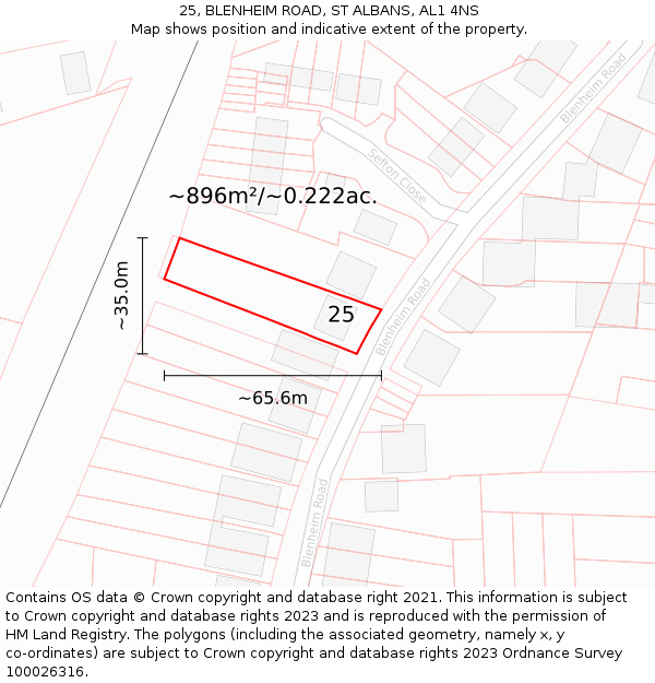 25, BLENHEIM ROAD, ST ALBANS, AL1 4NS: Plot and title map