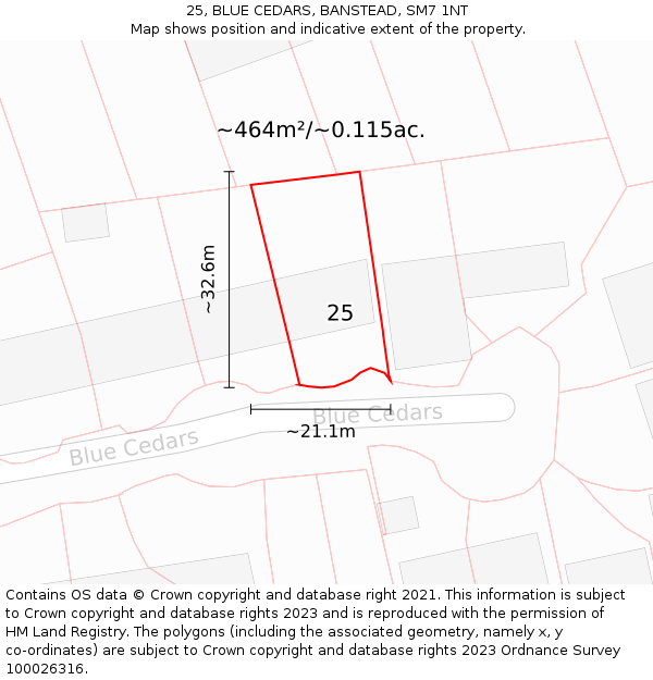 25, BLUE CEDARS, BANSTEAD, SM7 1NT: Plot and title map