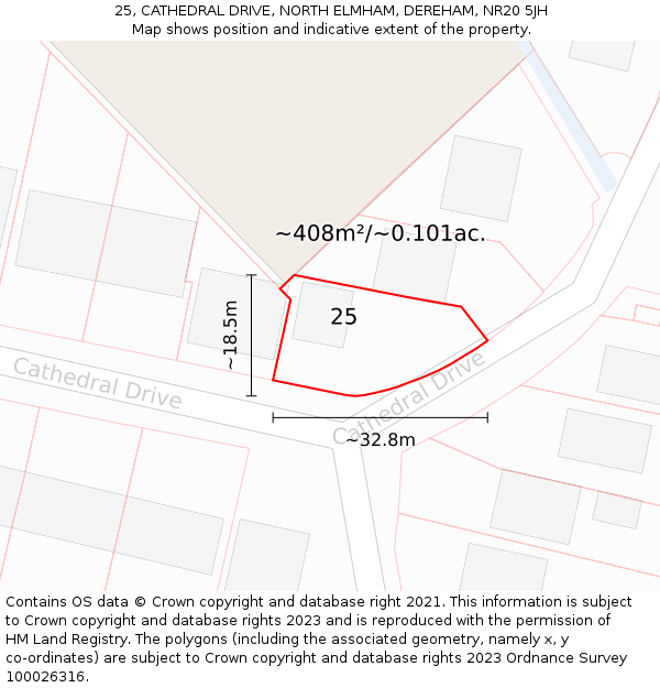 25, CATHEDRAL DRIVE, NORTH ELMHAM, DEREHAM, NR20 5JH: Plot and title map