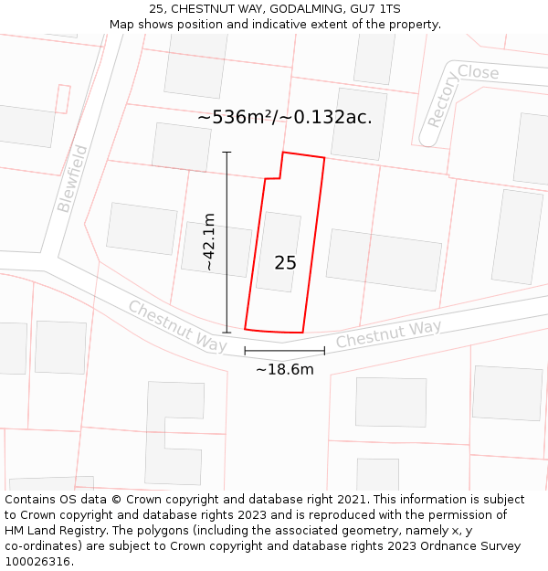 25, CHESTNUT WAY, GODALMING, GU7 1TS: Plot and title map