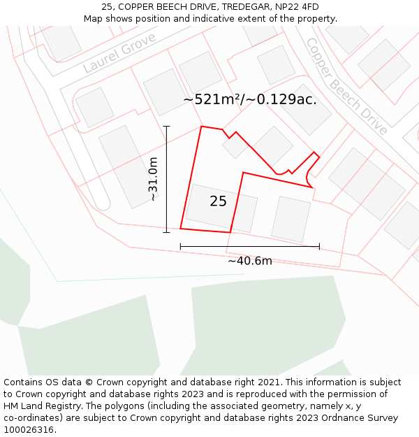25, COPPER BEECH DRIVE, TREDEGAR, NP22 4FD: Plot and title map